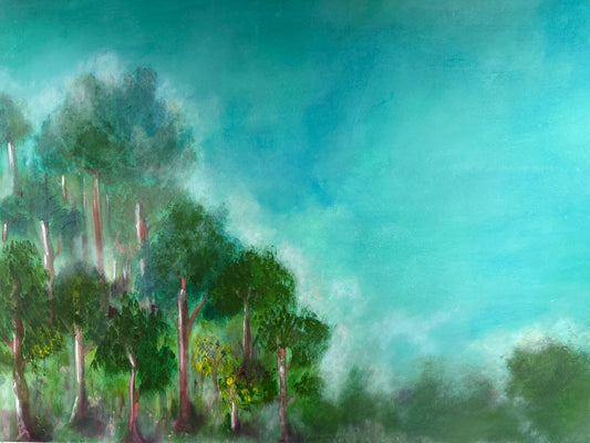 Blue Mountain Gums